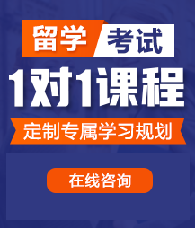 草我的逼我是骚货留学考试一对一精品课